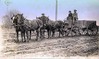 Fernald Team Of Horses