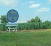 Maytag Blue Cheese Sign